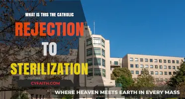 Catholicism and Sterilization: Exploring the Church's Rejection
