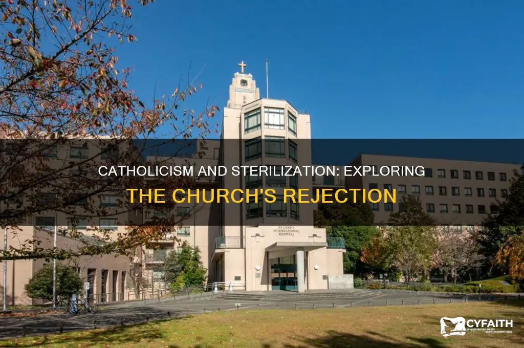 what is this the catholic rejection to sterilization
