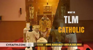 Understanding the Traditional Latin Mass in Catholic Worship Today