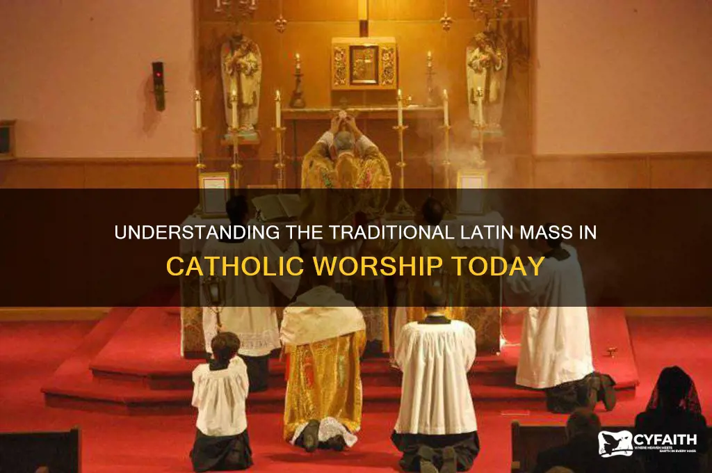 what is tlm catholic