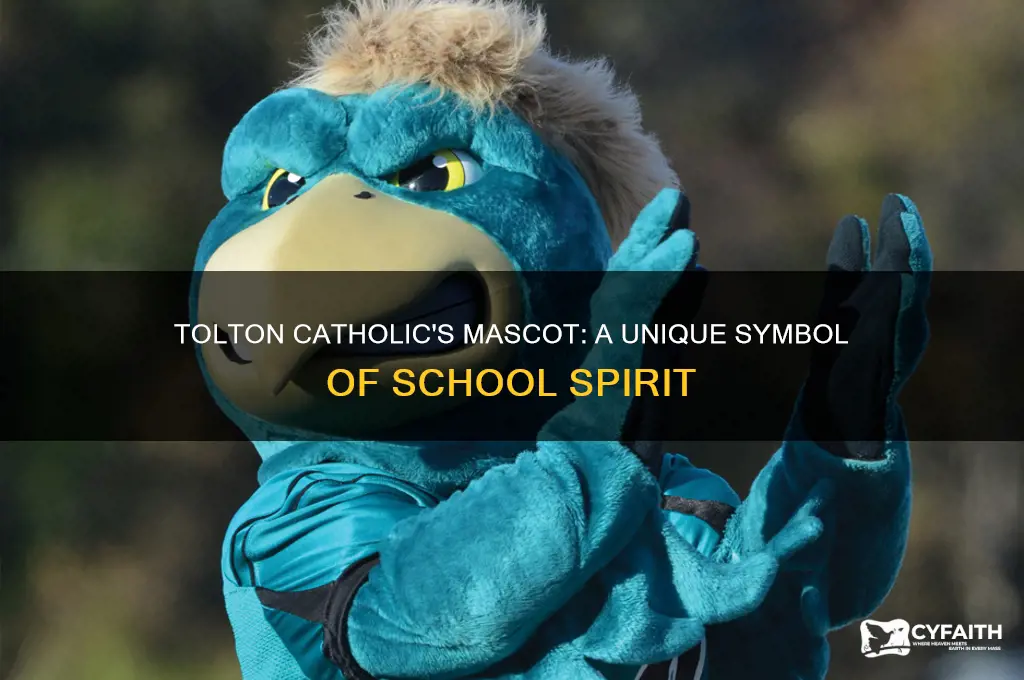 what is toltan catholic