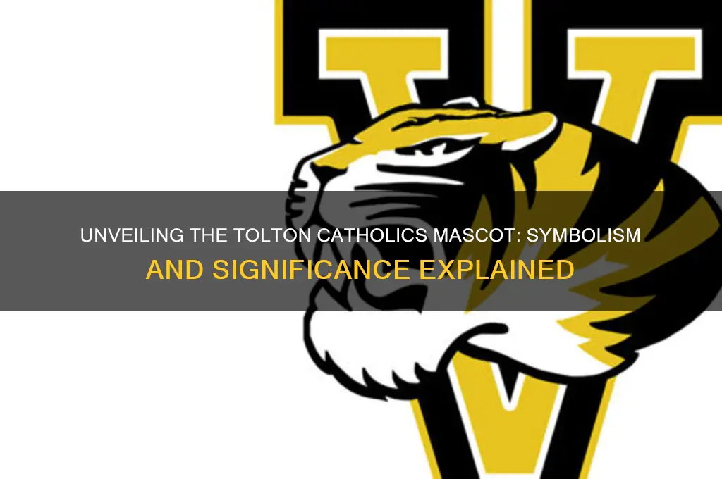 what is toltan catholics mascot