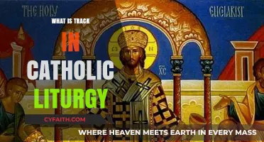 Understanding the Catholic Liturgy's Track