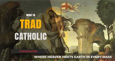 Understanding Traditional Catholicism: Beliefs, Practices, and Modern Relevance