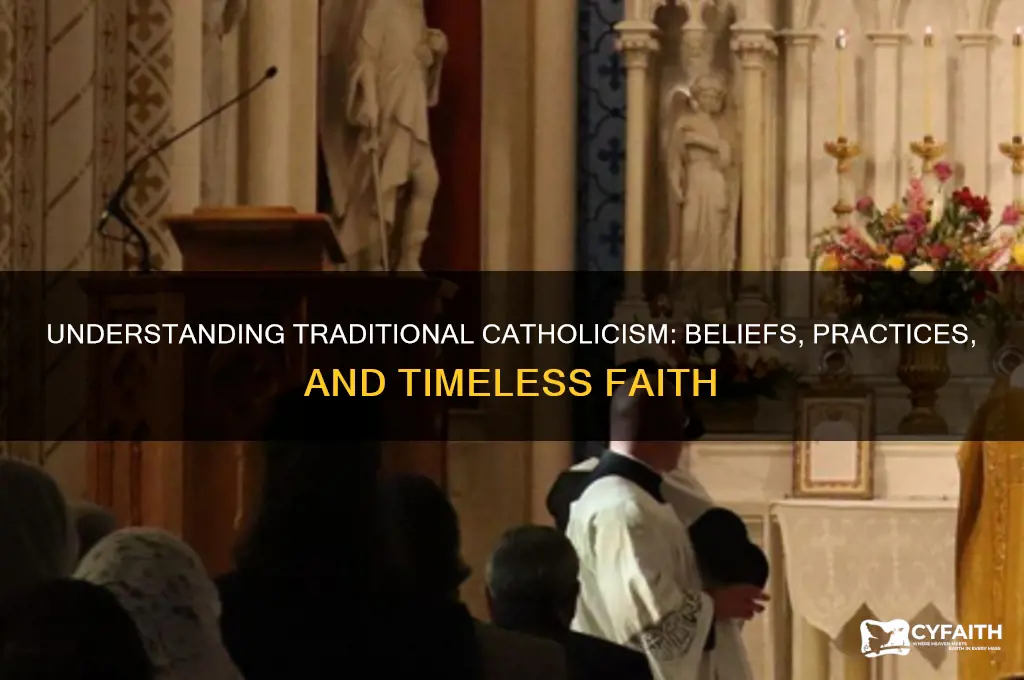 what is traditional catholic