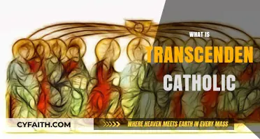 Understanding Transcendence in Catholic Theology: A Spiritual Journey Explained