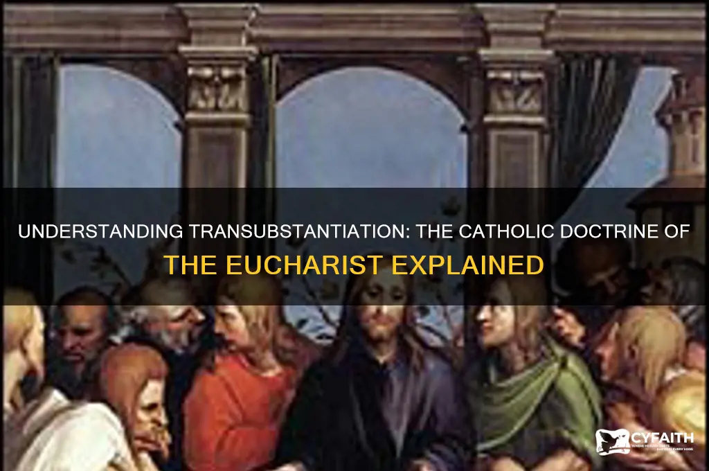 what is transubstantiation catholic