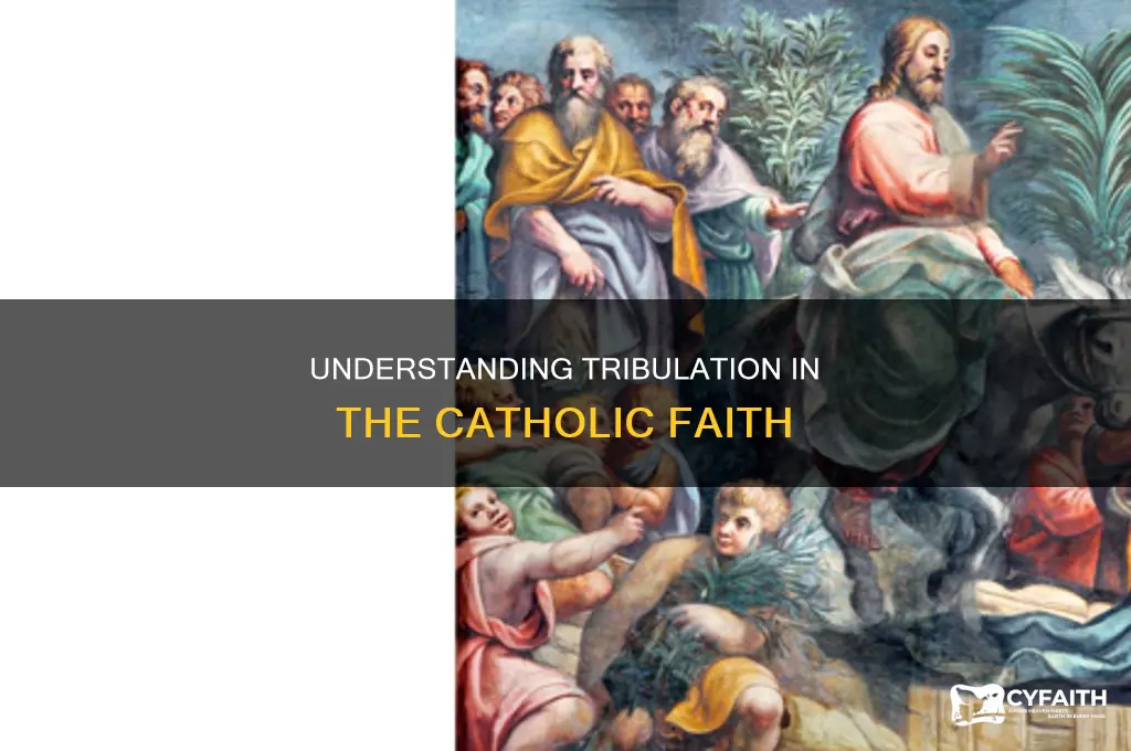 what is tribulation in the catholic religion