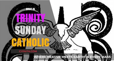 Understanding Trinity Sunday: Catholic Celebration of the Holy Trinity