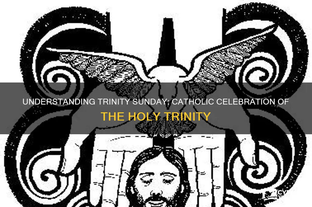 what is trinity sunday catholic