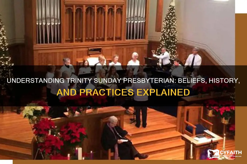 what is trinity sunday presbyterian
