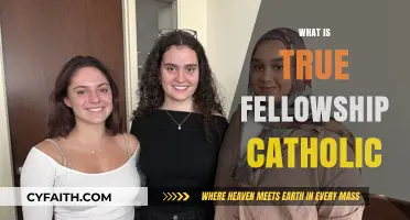 True Fellowship in Catholicism: Understanding Its Meaning and Practice