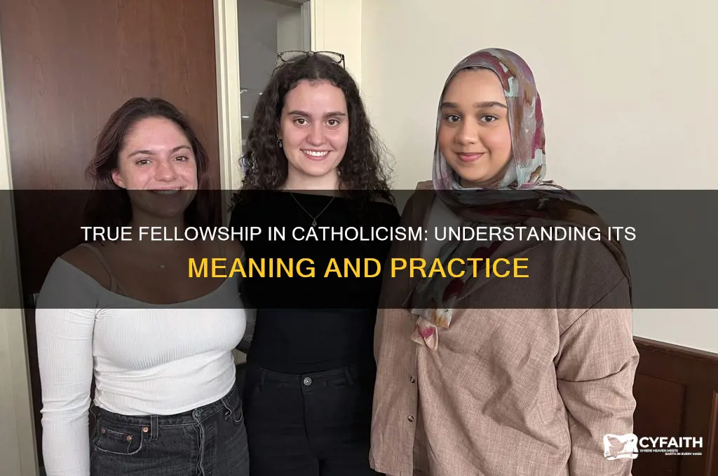 what is true fellowship catholic