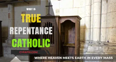 Understanding True Repentance in the Catholic Faith: A Guide to Redemption