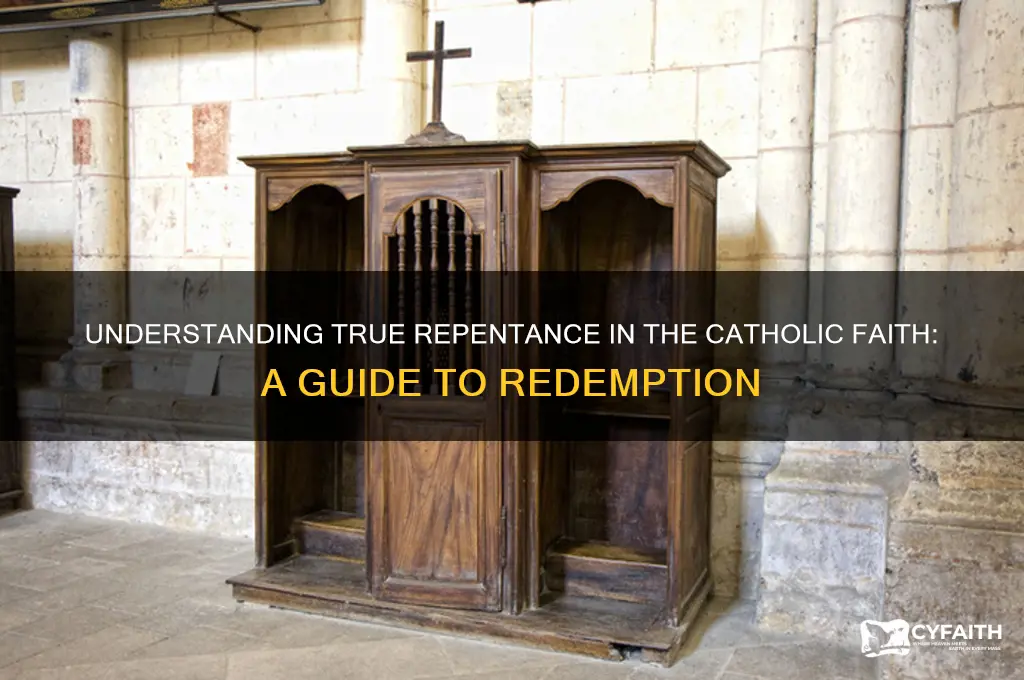 what is true repentance catholic