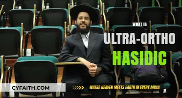 Understanding Ultra-Orthodox Hasidic Judaism: Traditions, Lifestyle, and Beliefs Explained