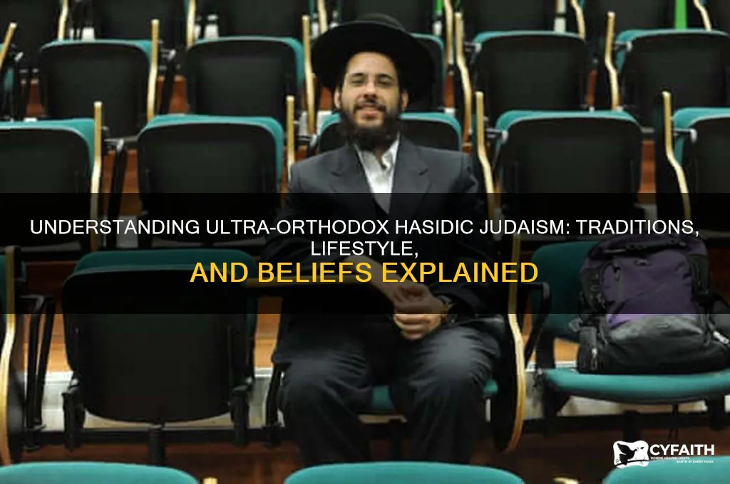 what is ultra-orthodox hasidic