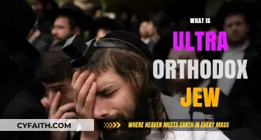Understanding Ultra-Orthodox Judaism: Beliefs, Practices, and Community Life