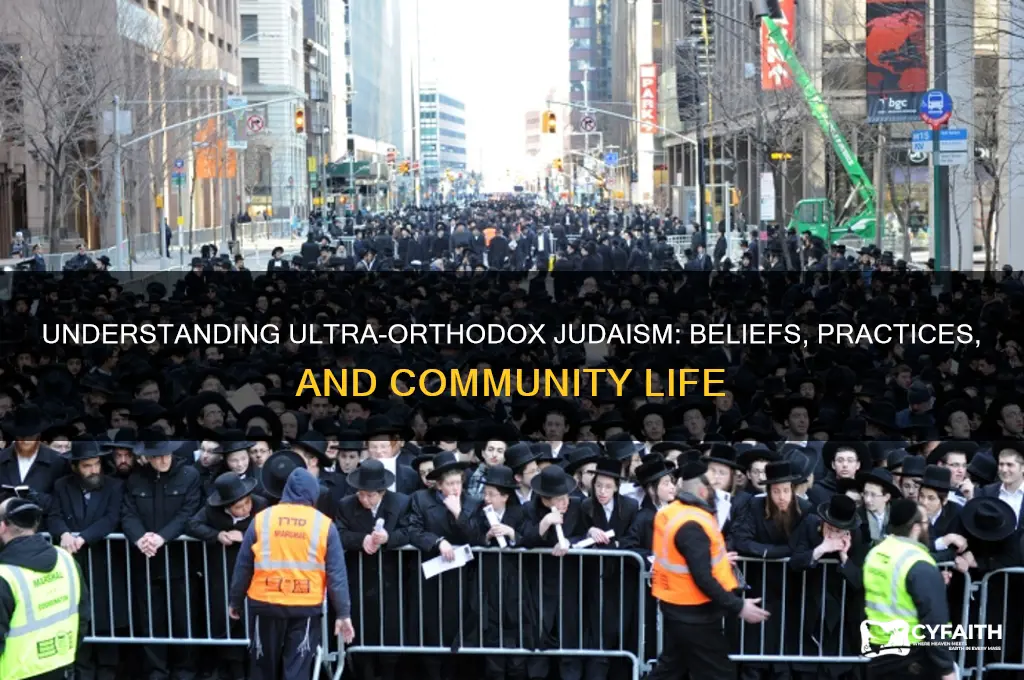 what is ultra orthodox jew