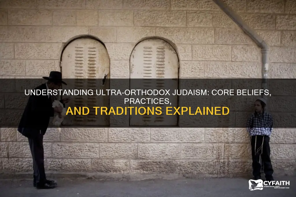 what is ultra orthodox judaism beliefs