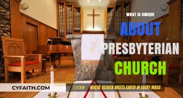 Distinctive Presbyterian Church: Governance, Worship, and Reformed Theology Explained