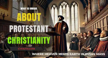 Exploring the Distinctive Features of Protestant Christianity