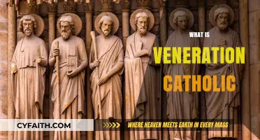 Understanding Veneration in Catholicism: Practices, Saints, and Spiritual Significance