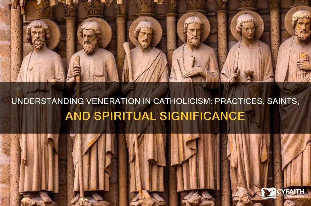 what is veneration catholic