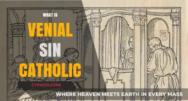 Understanding Venial Sin in Catholicism: A Guide to Lesser Offenses