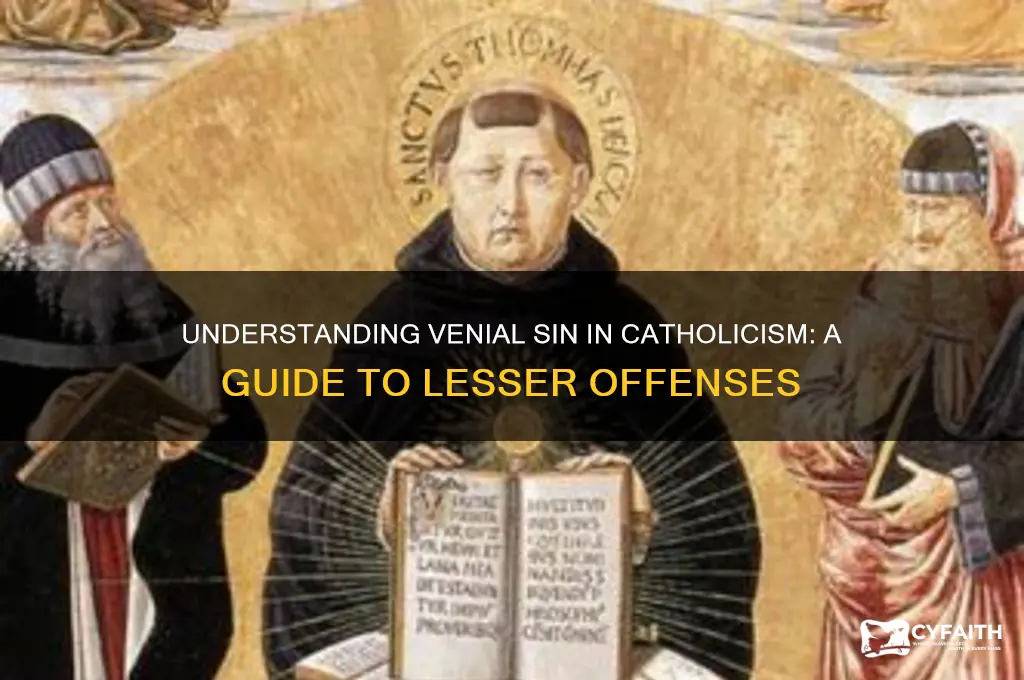 what is venial sin catholic
