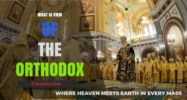 Understanding the Orthodox Perspective: Core Beliefs and Traditions Explained