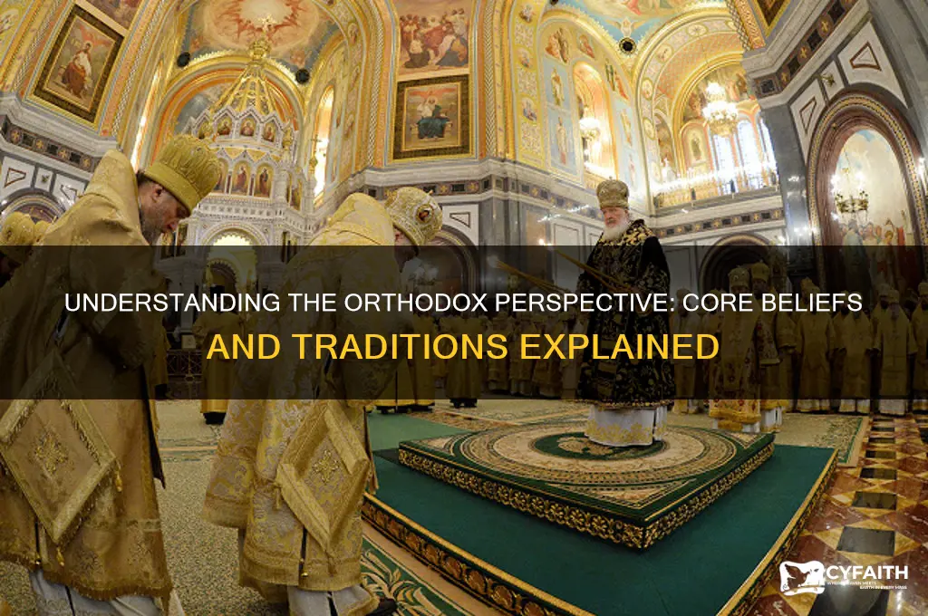 what is view of the orthodox