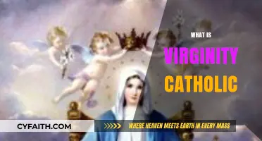 Understanding Virginity in Catholic Teachings: Beliefs, Practices, and Significance
