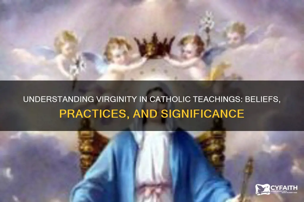 what is virginity catholic