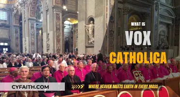 Understanding Vox Catholica: The Global Voice of Catholic Unity Explained