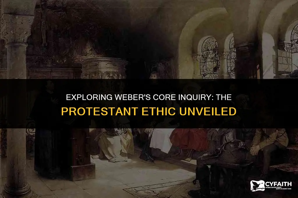 what is webers central question in the protestant ethic
