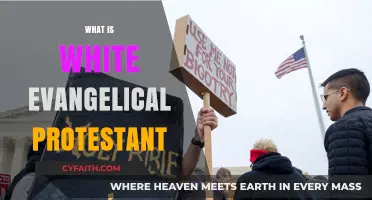 Exploring the Beliefs and Practices of White Evangelical Protestants