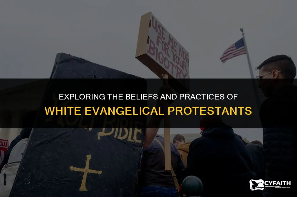 what is white evangelical protestant