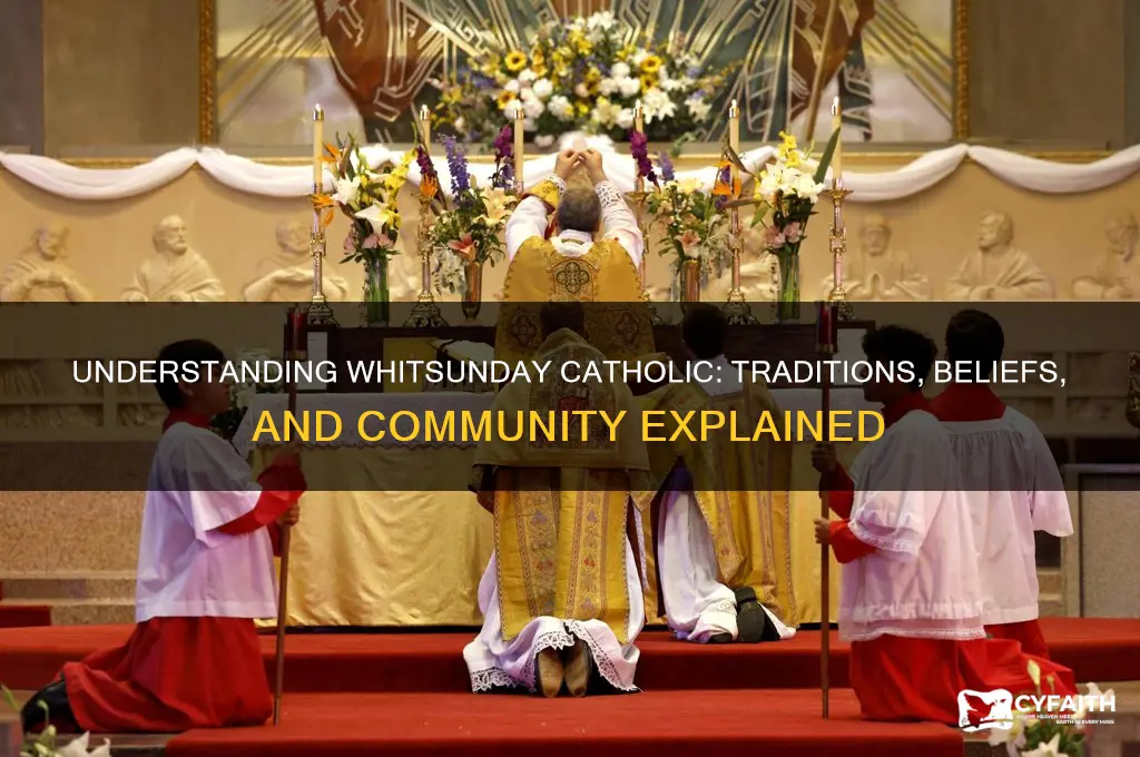 what is whitsunday catholic