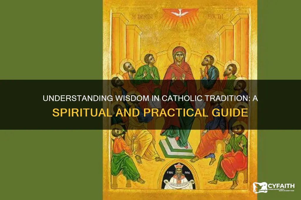 what is wisdom catholic