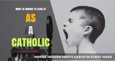 Catholic Perspective: Understanding What's Inappropriate to Look At