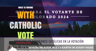 The Catholic Vote: What's Wrong?