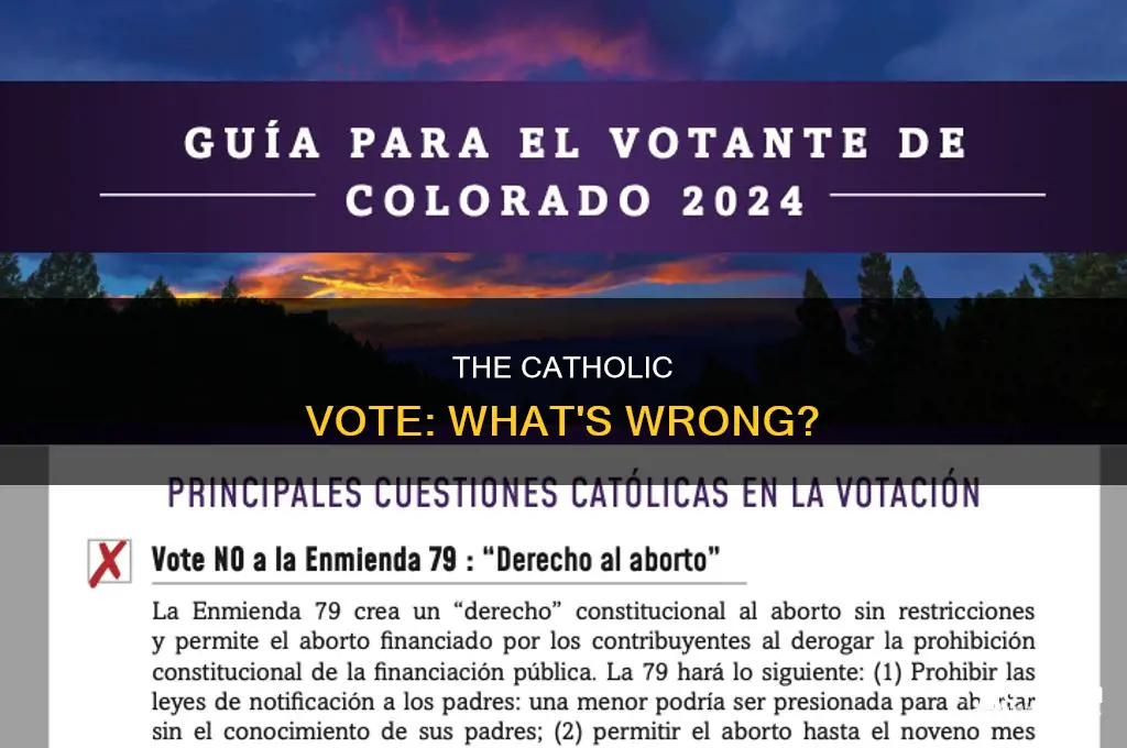 what is wrong with catholic vote