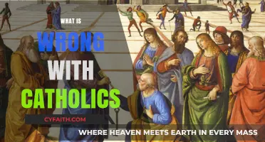 Understanding Catholic Criticisms: Addressing Common Concerns and Misconceptions