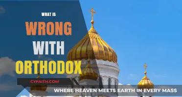 Challenging Orthodoxy: Uncovering Flaws in Traditional Belief Systems and Practices