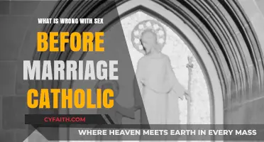 Sex Before Marriage: Catholic Conundrum