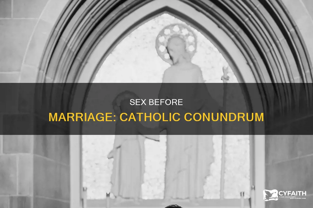what is wrong with sex before marriage catholic
