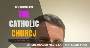 The Catholic Church: What's Gone Wrong?