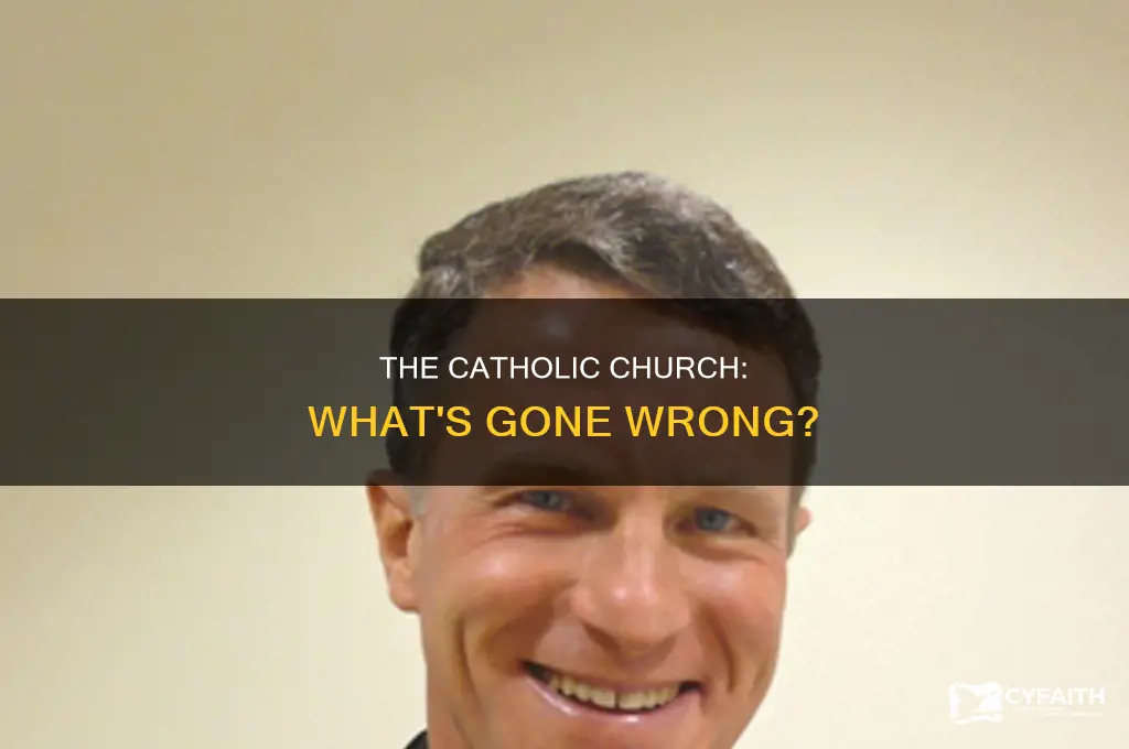 what is wrong with the catholic churcj