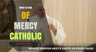 The Year of Mercy: A Catholic Journey of Forgiveness